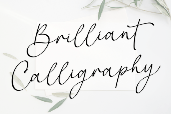 The Delicate Romance of Brilliant Calligraphy